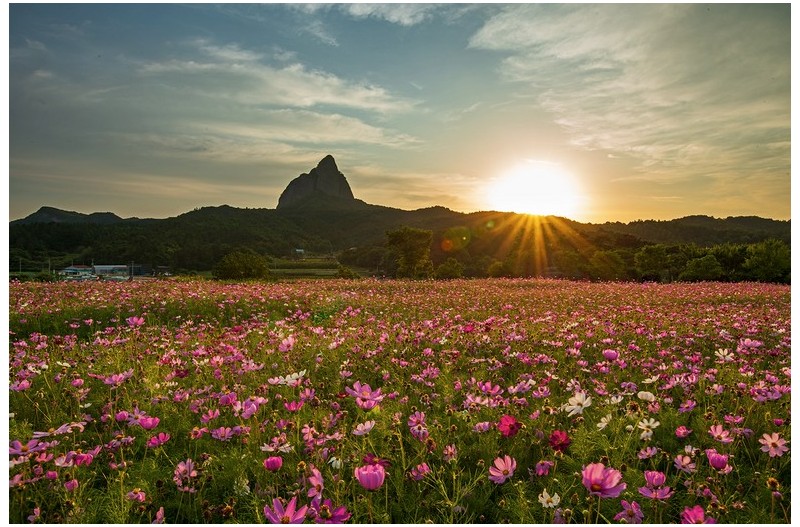 진안농업기술센타