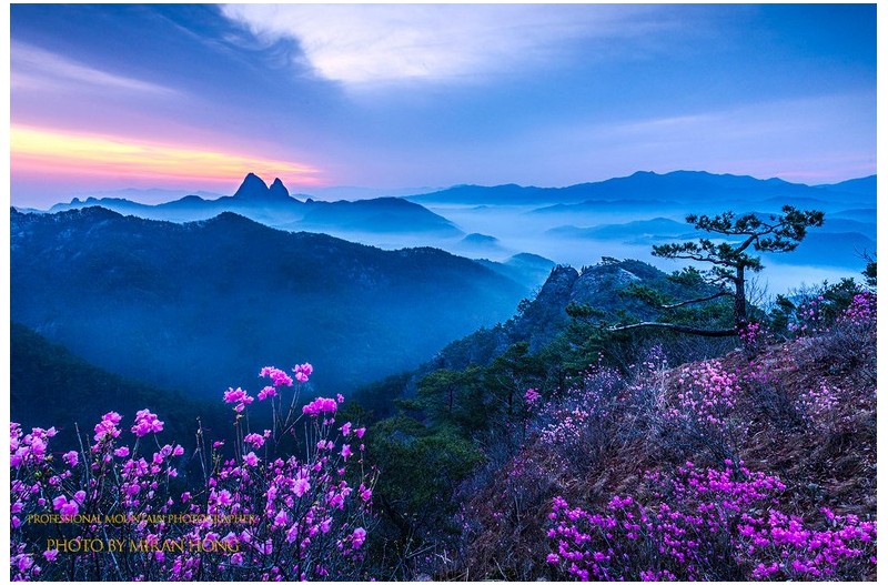 마이산의 봄 날~