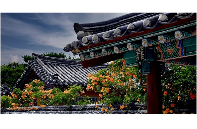 수로 왕릉의 능소화 ----