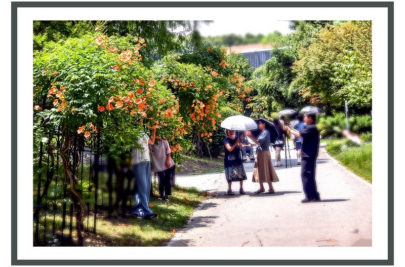 공원가족나들이