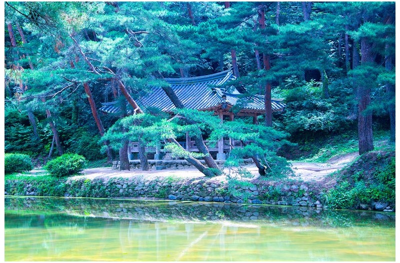 선비 들의 흔적