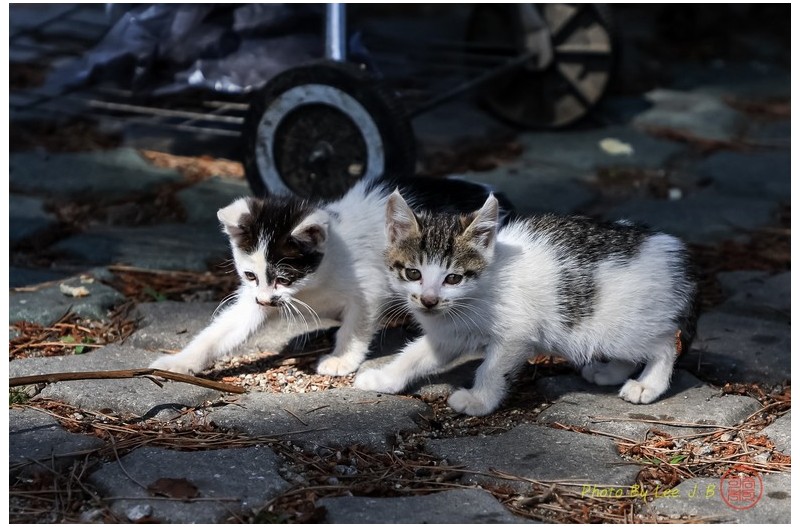 무엇이 궁금할까?