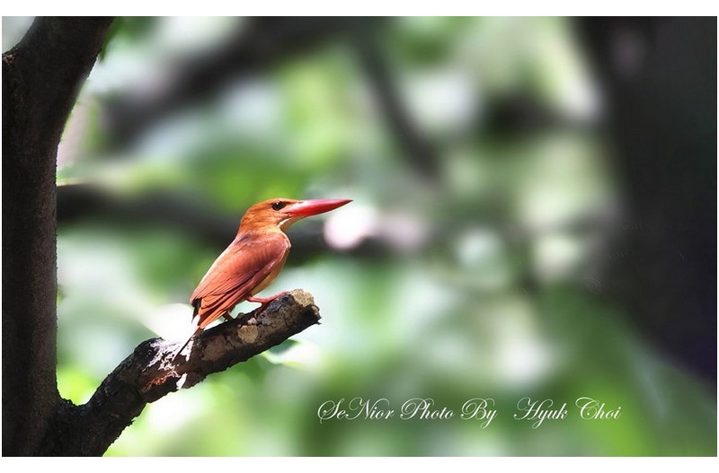 지금 그곳엔   ㅡㅡㅡㅡㅡㅡㅡㅡㅡㅡㅡ