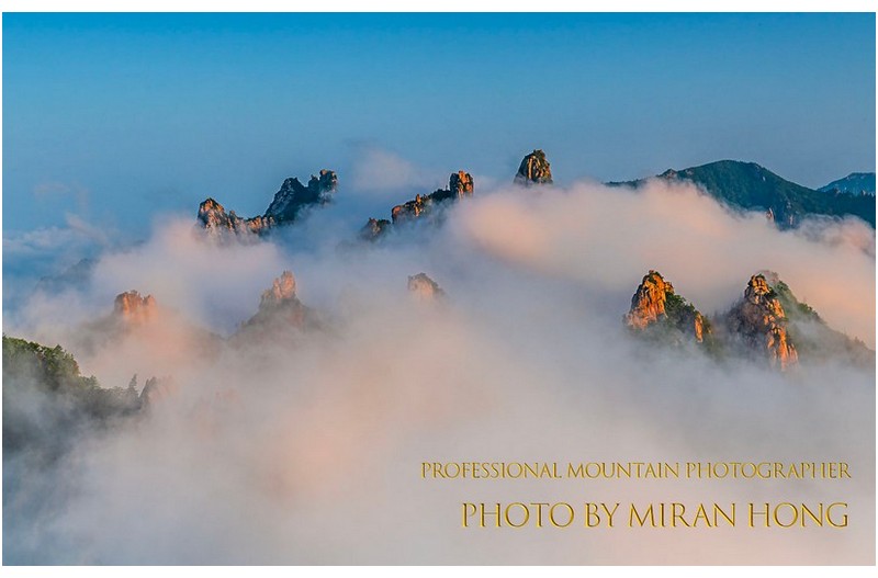 신선들이 사는곳