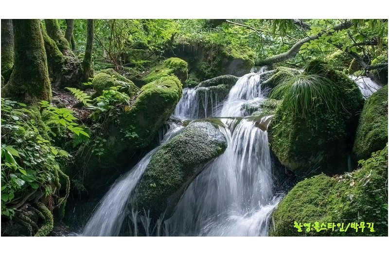 상동 이끼계곡