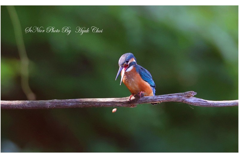 초보들의 놀이터   ㅡㅡㅡㅡㅡㅡㅡㅡㅡㅡㅡ