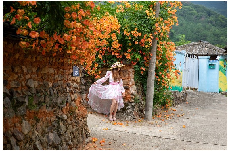 양산 능소화와 홍룡폭포