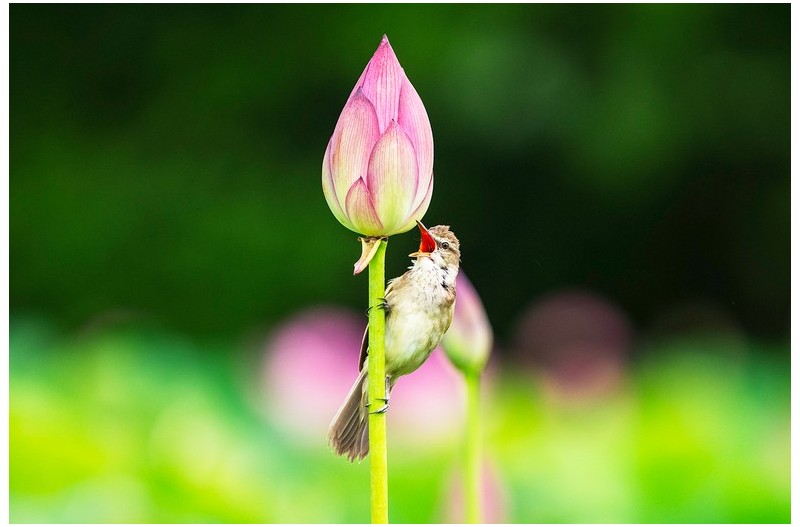 내 님은 어디에 있을까