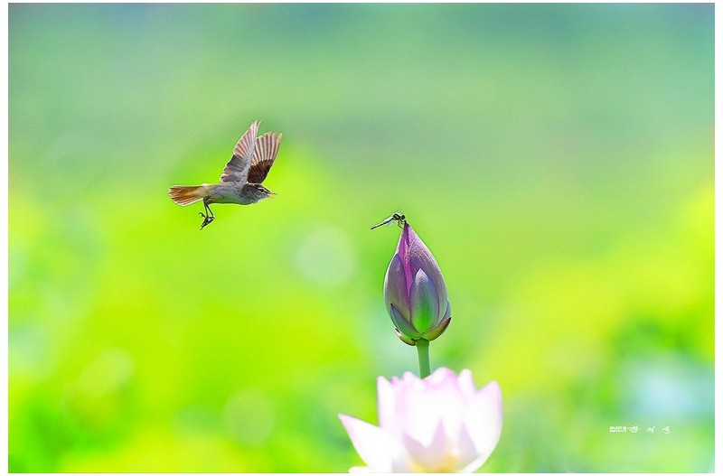 아슬아슬한 순간