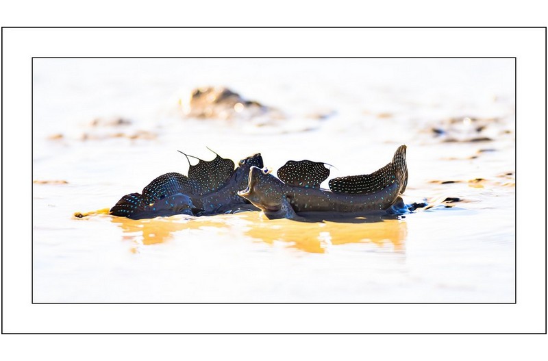 연인들의 이야기...