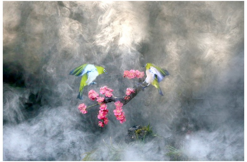 안게속에 핀 멋진 꽃`