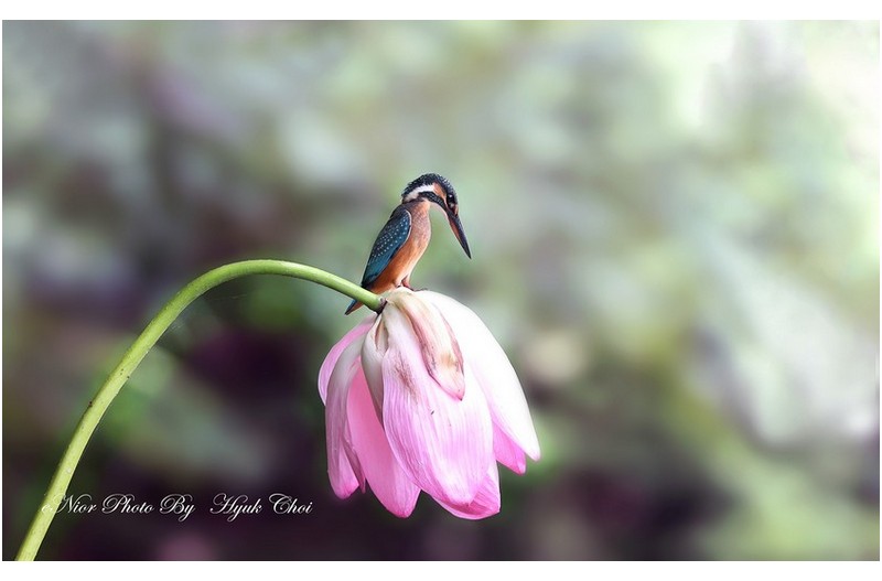 총이  잠맥질   ㅡㅡㅡㅡㅡㅡㅡㅡ