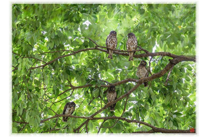 솔붱이가족사진