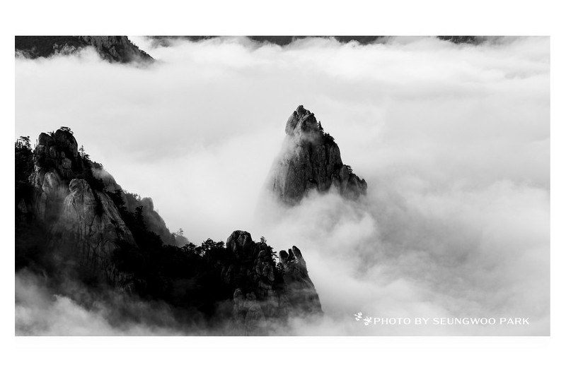 절해고도 (絶海孤島)