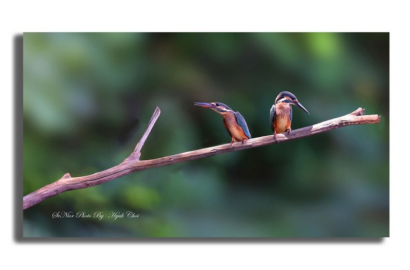 너는너대로    나는나대로   ㅡㅡㅡㅡㅡㅡㅡㅡㅡ