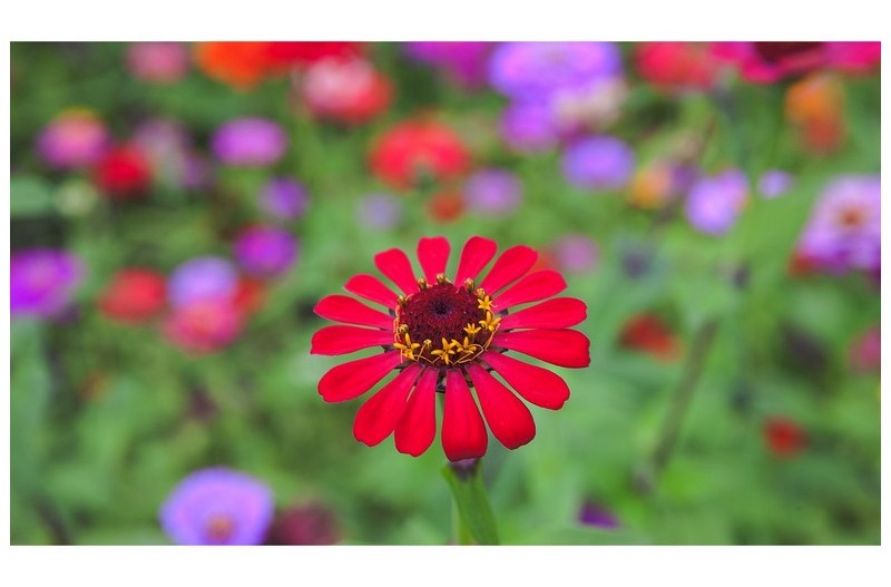 게시판 TEST 중입니다