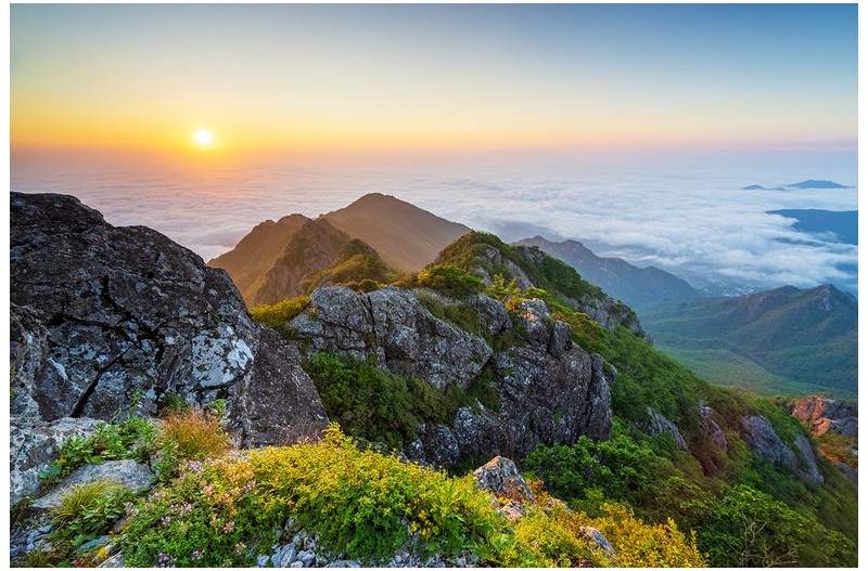 백리향 핀 가야산
