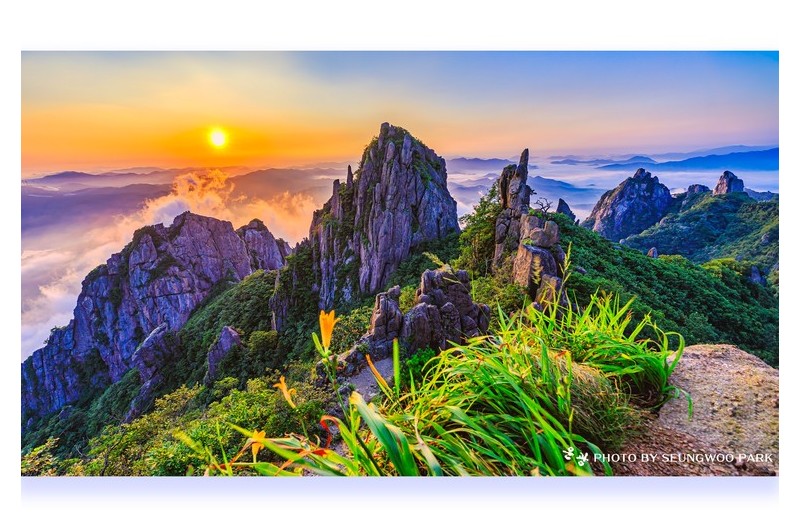 㶓頭露尾(장두로미)