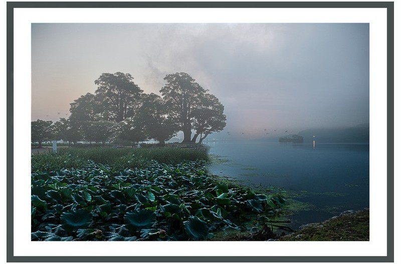 안개낀 두묾머리풍경
