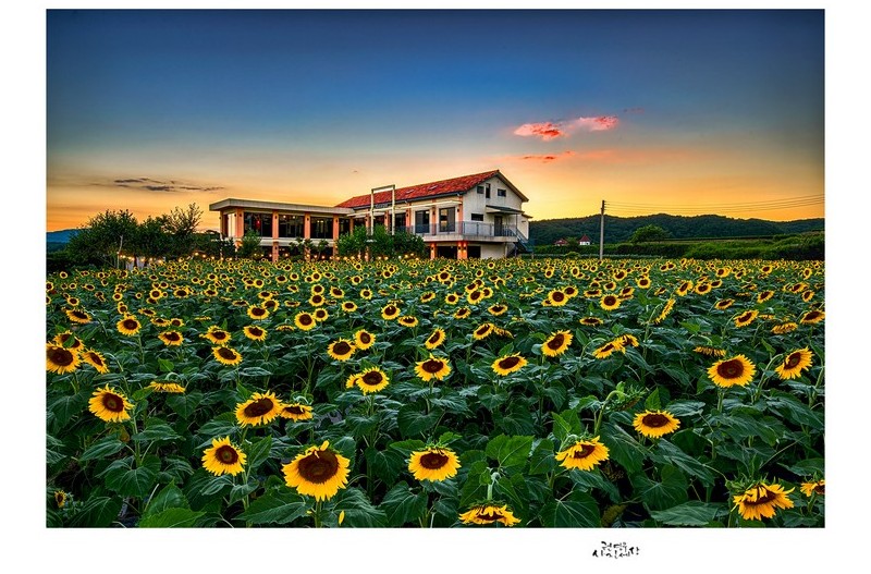 땀에 젖은 여름