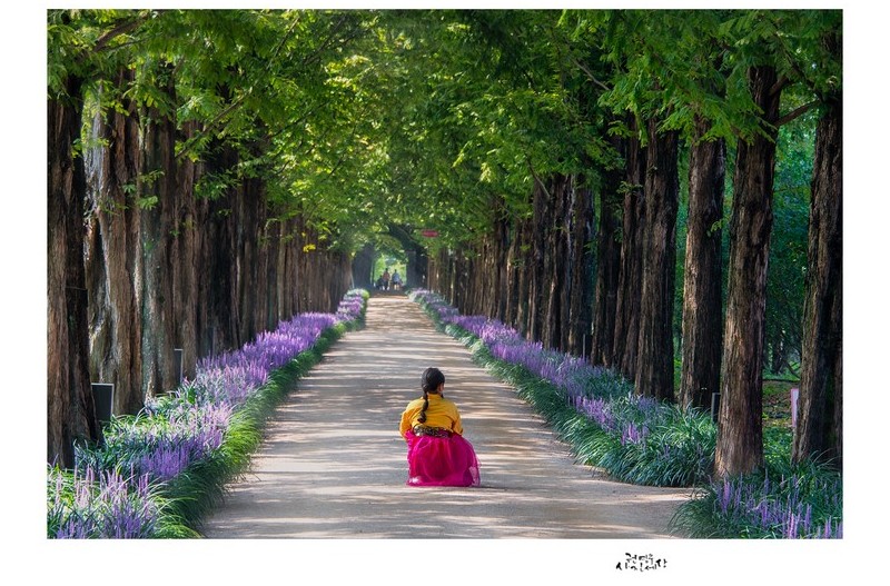메타길의 맥문동