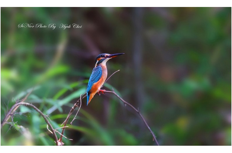 구영에서   ㅡㅡㅡㅡㅡㅡㅡㅡㅡㅡㅡ