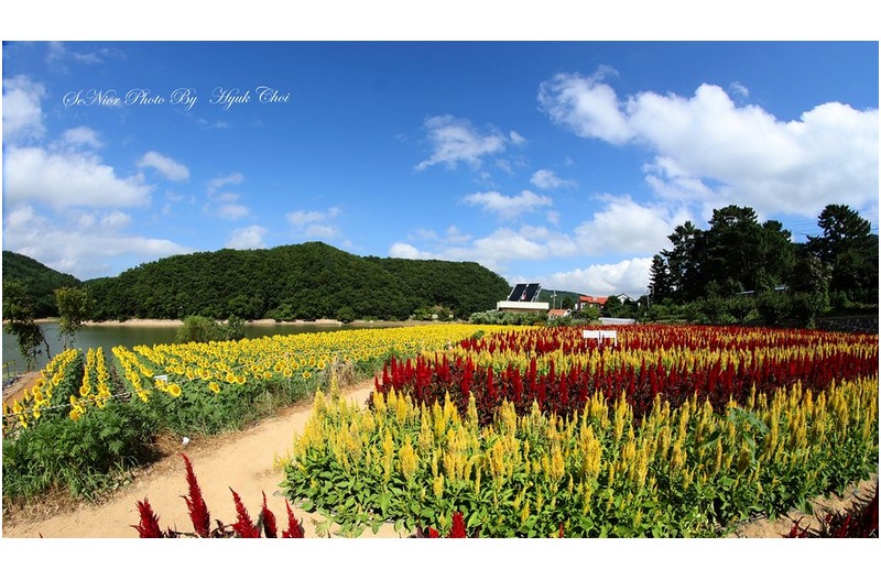 하동못안   {바실라카페}   ㅡㅡㅡㅡㅡㅡㅡㅡㅡㅡㅡ