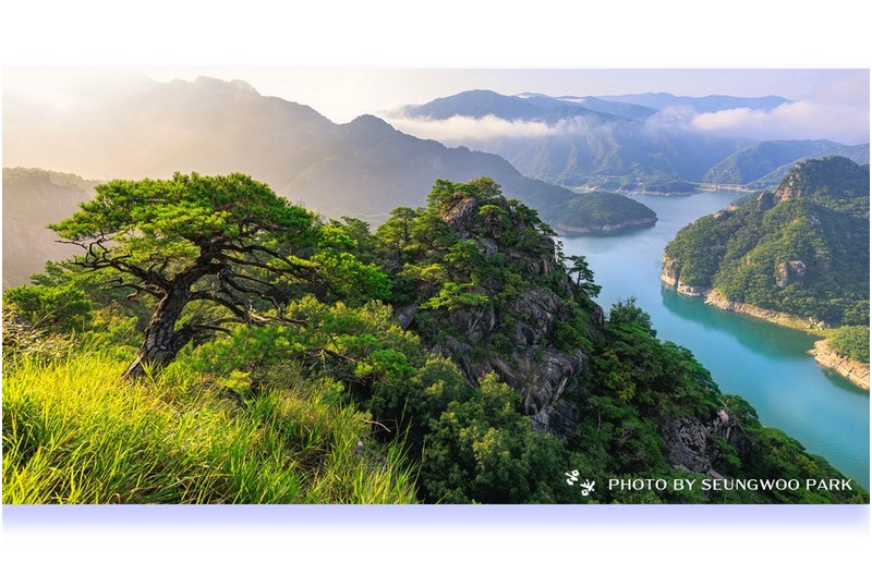 열정도 식어 가고