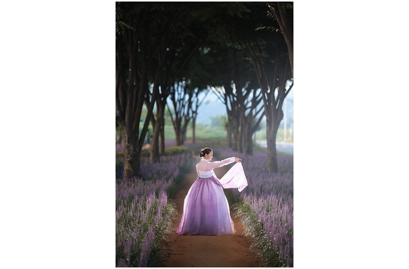 영천 우로지 맥문동