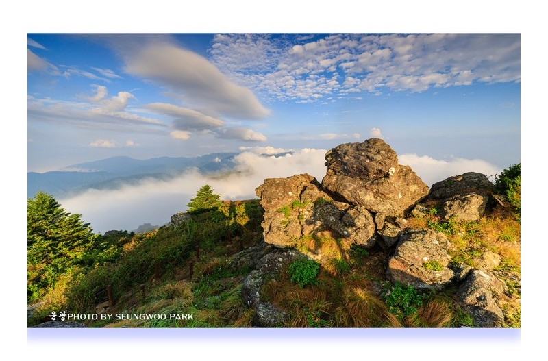 내마음 구름에 실어