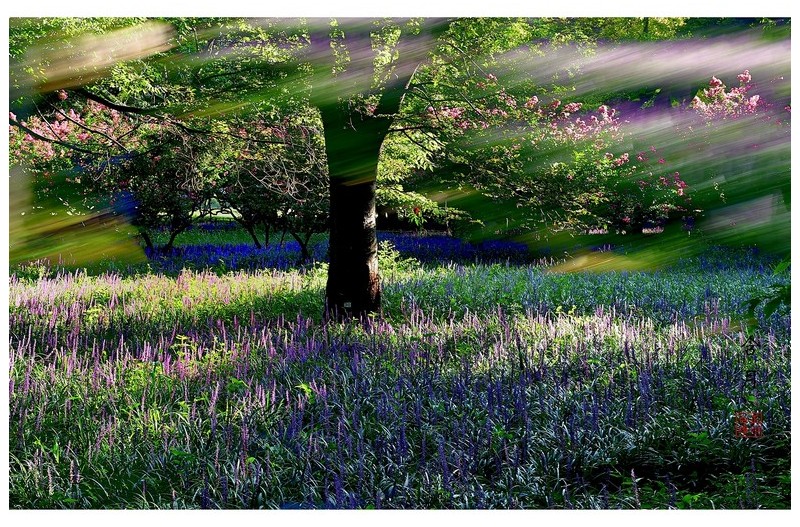 스쳐가는 바람 !!!