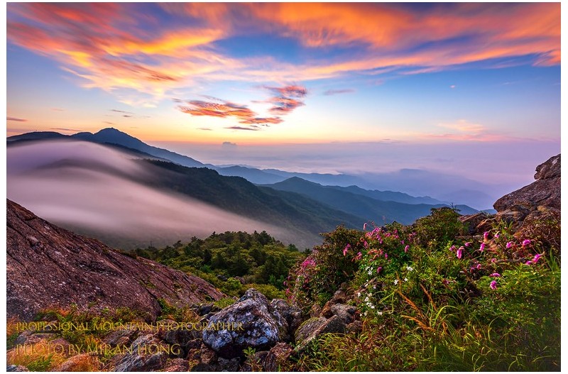 지리산정의 여름