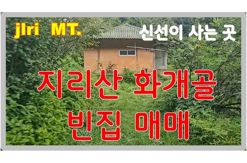 신선들이 사는곳