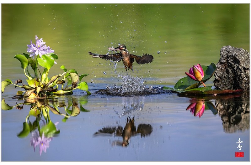 물총이 와의 하루