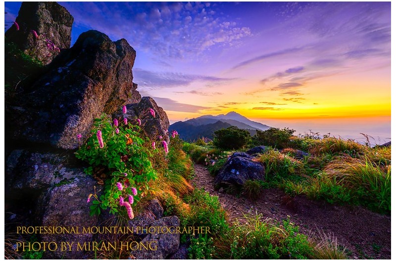 오이풀이 있는 풍경