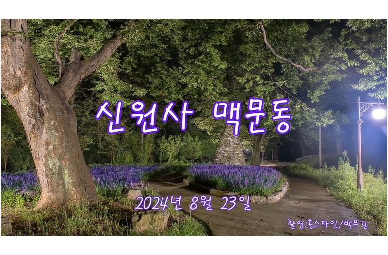 신원사 맥문동 만개