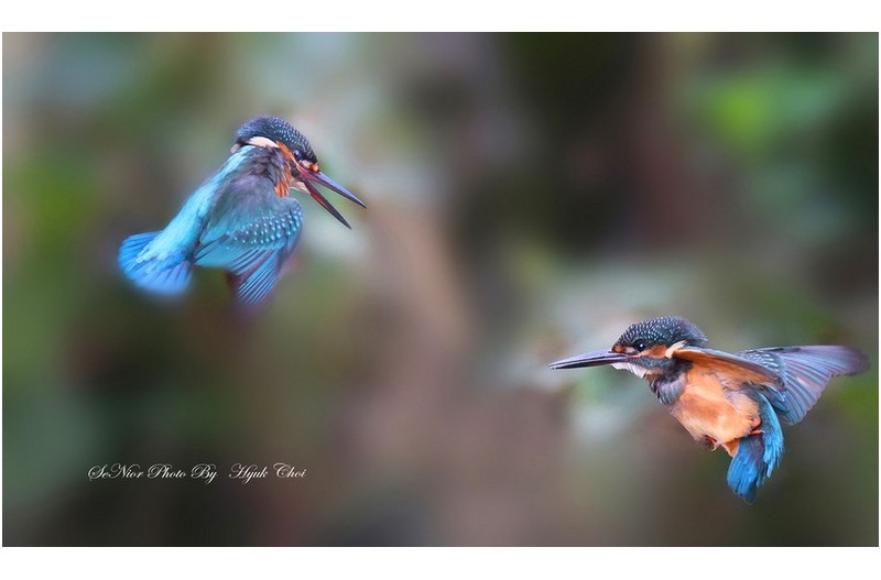 총이 유조   ㅡㅡㅡㅡㅡㅡㅡㅡㅡㅡ