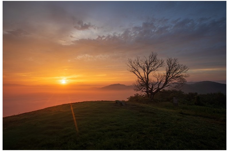 대암산 여명과 알출