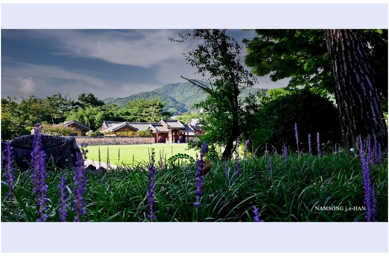 왕릉 공원에서 ------