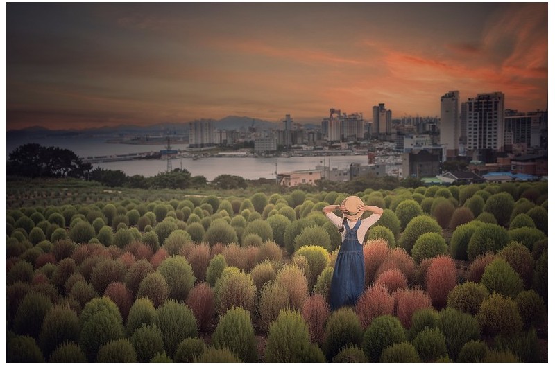 슬도 댑싸리 일몰