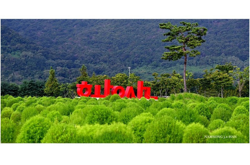 댑싸리 밭의 풍경 ------