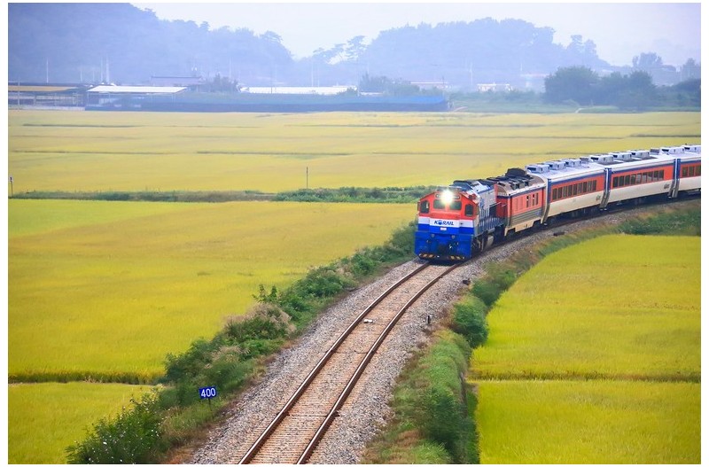 황금들판을 달이는 겅북선 열차`
