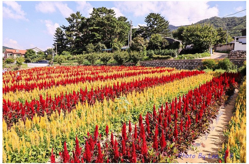 바실라 카페에서