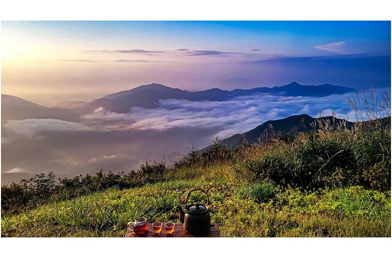 아무리 더워도 가을은 오고 있더랴