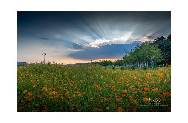 아름다운 저녁에