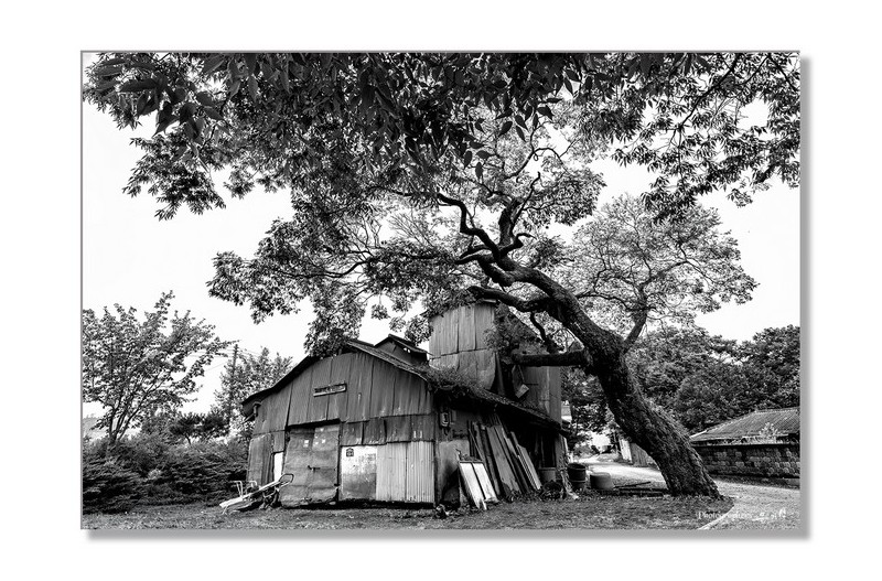 조용한 시골마을을 지키고 있는 오래된 정미소...