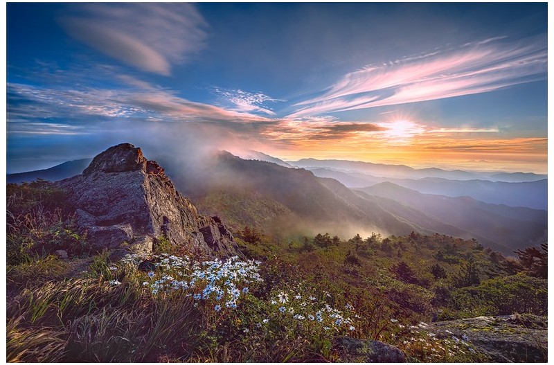 구절초 핀 산정