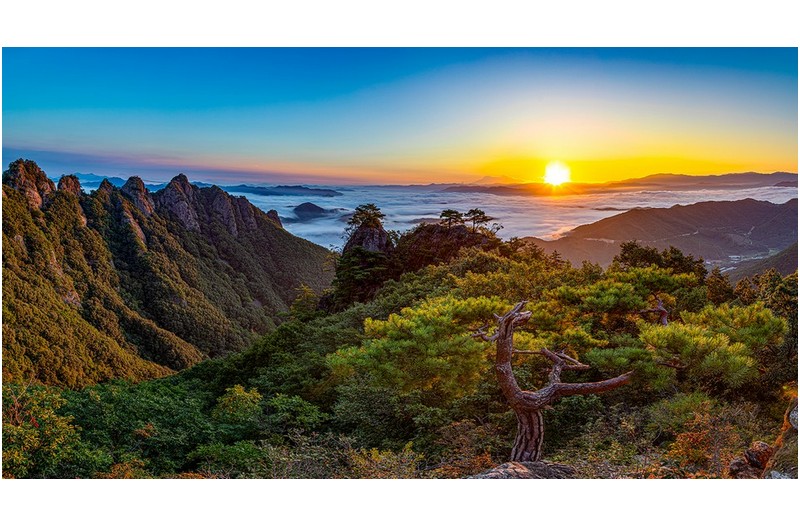 일출빛에 물들어 가는