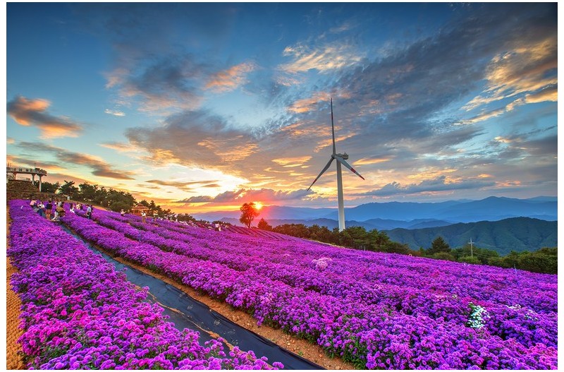 노을 물드는 감악산