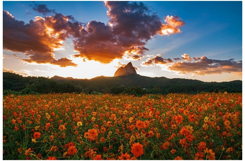 진안농업기술센타